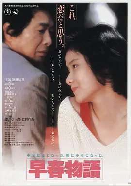 庙街十三妹完整版电影 海报